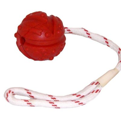 Ball on a Rope Dog Toys