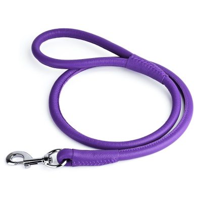 Rolled Leather Lead – Purple