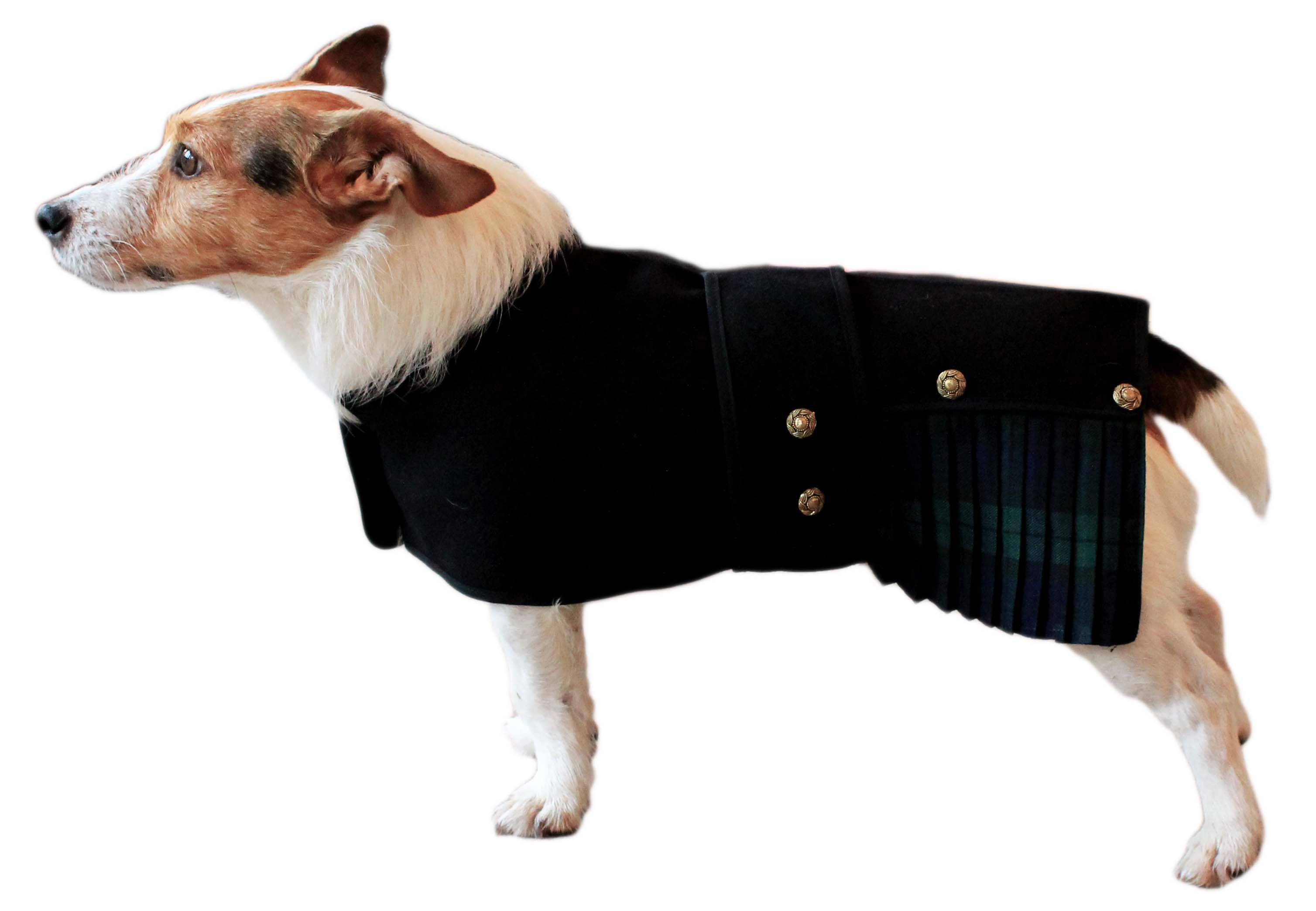 Tartan Dog Kilts Dogs & Co