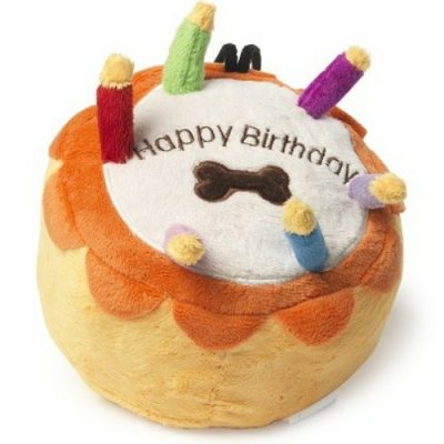 Celebration & Birthday Cake Dog Toys