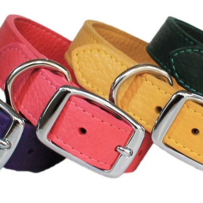 LUXE Leather Dog Collars – Turquoise Blue