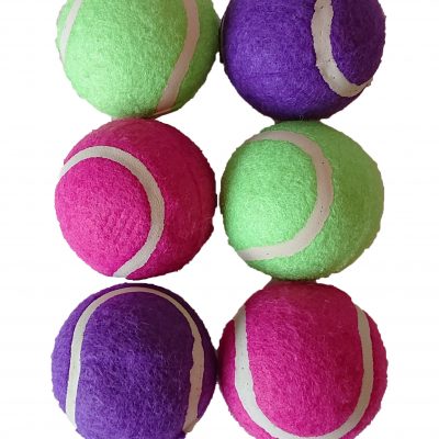 Dog Mini Tennis & Squeaky Balls – Twin Pack