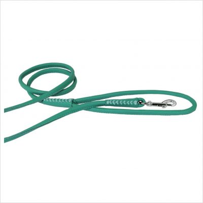 Rolled Leather Lead – Mint Green