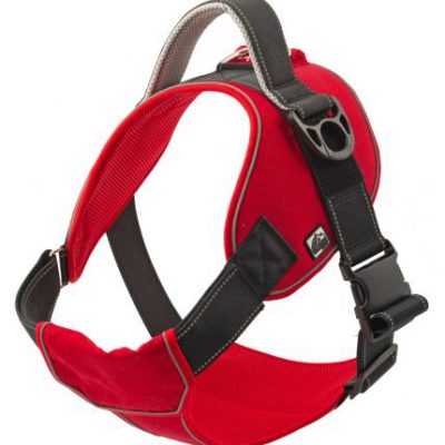Extreme Harness for Dogs