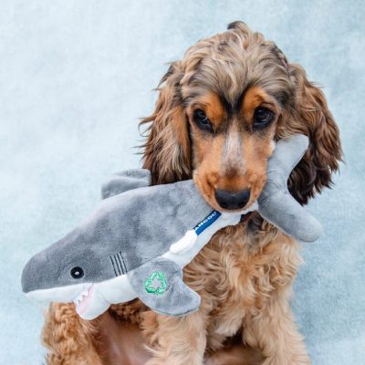 Sean the Shark Eco Dog Toy