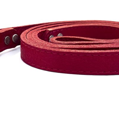 LUXE Leather Dog Leads – Ruby Red