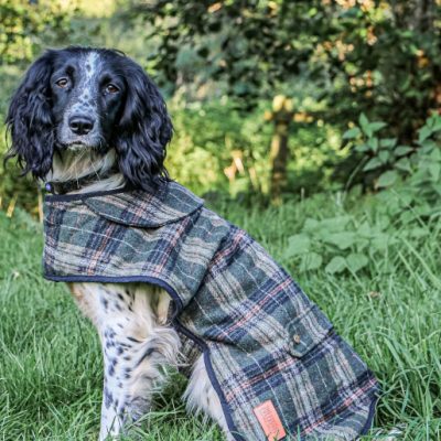 Tweed Dog Coats