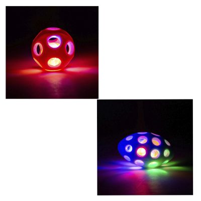 Flashing Light Up Dog Toy