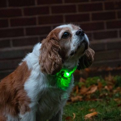 Rechargeable Blinker – Green