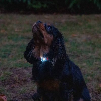 Rechargeable Blinker – White