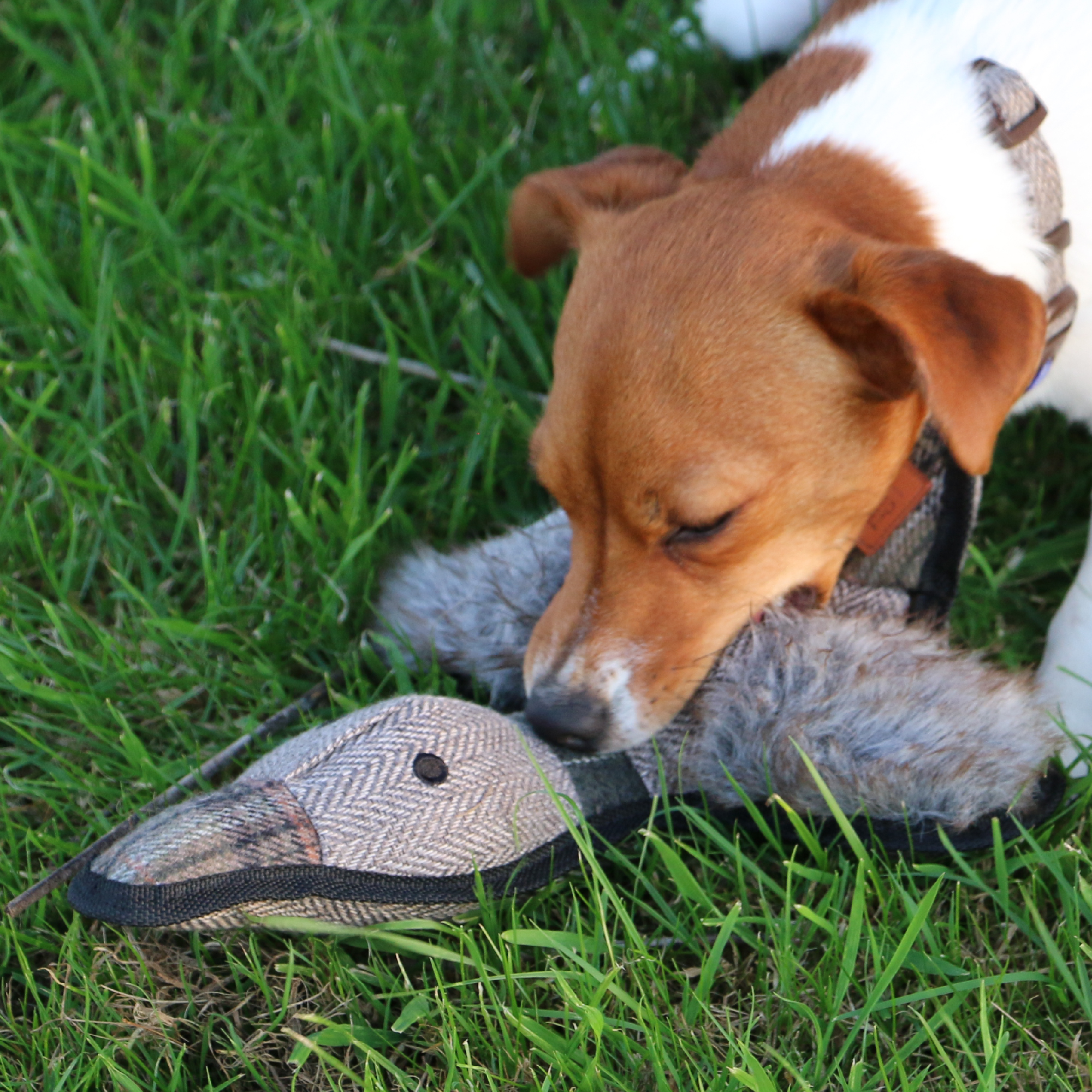 Tweed Duck Dog Toy - Image 3
