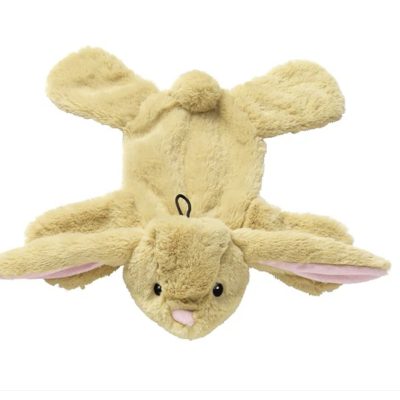 Crinkle Nose Flat Dog Toys