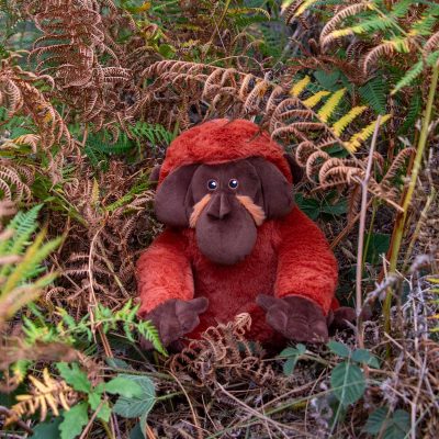 Ollie the Orangutan Eco Dog Toy