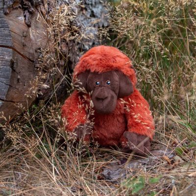 Ollie the Orangutan Mini Eco Dog Toy