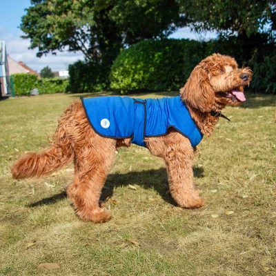 Dog Cooling Coats
