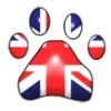 union jack paw 3d